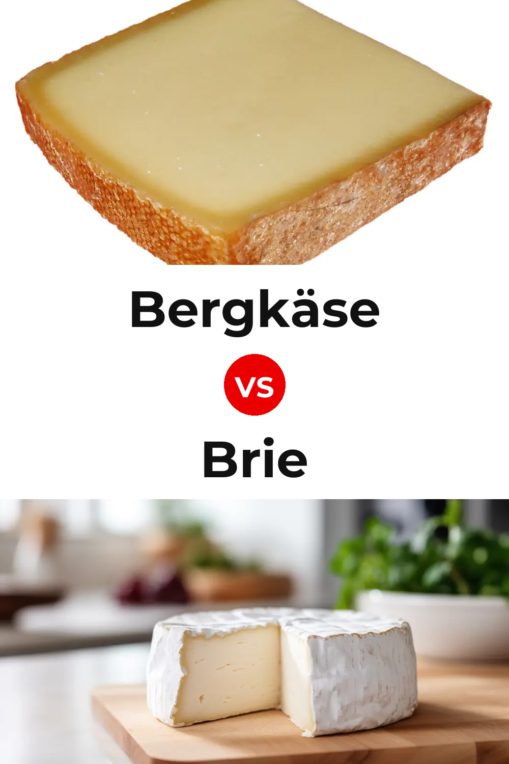 Bergkäse Cheese vs Brie Cheese Pinterest comparison