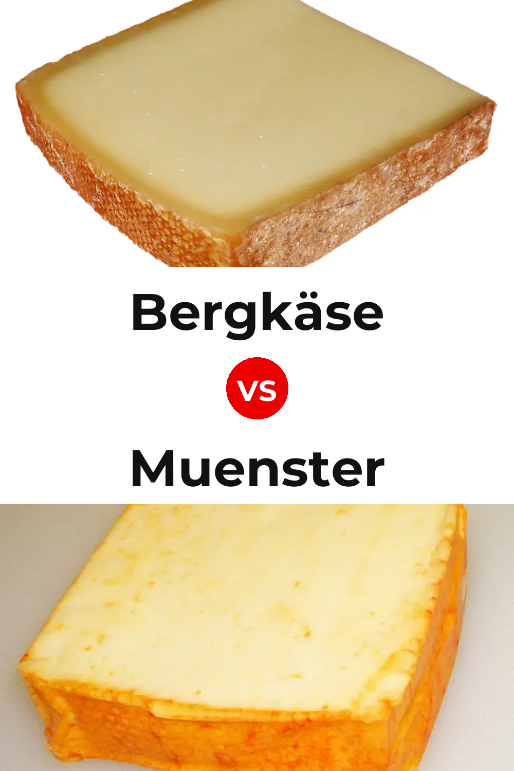Bergkäse Cheese vs Muenster Cheese Pinterest comparison