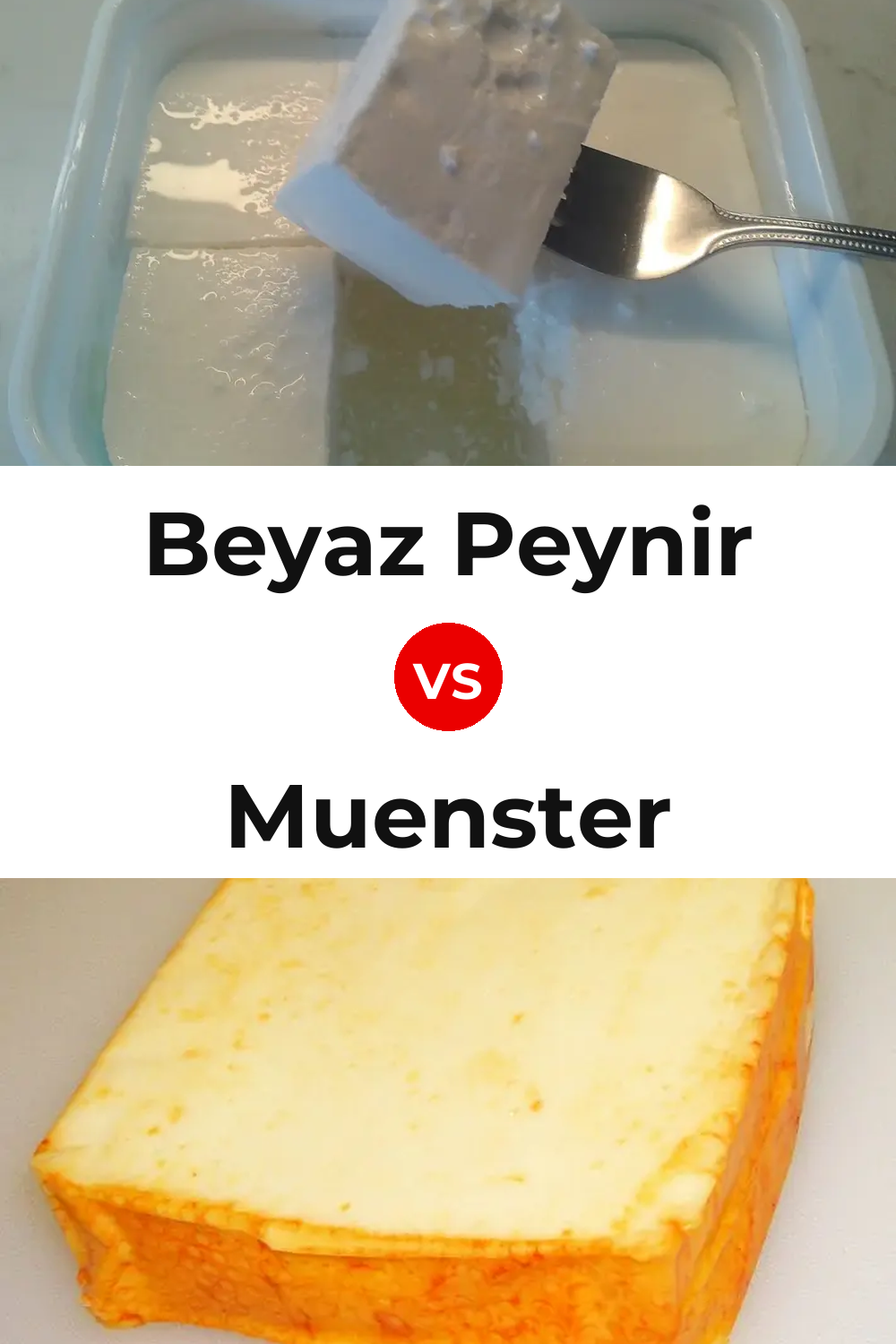Beyaz Peynir Cheese vs Muenster Cheese Pinterest comparison