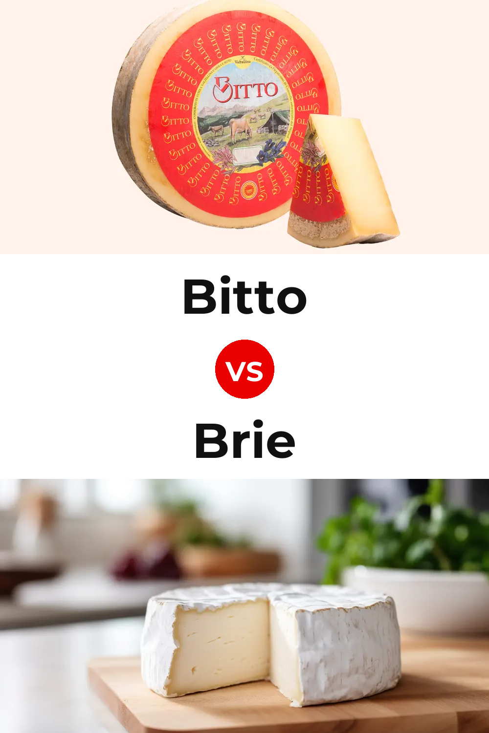 Bitto Cheese vs Brie Cheese Pinterest comparison