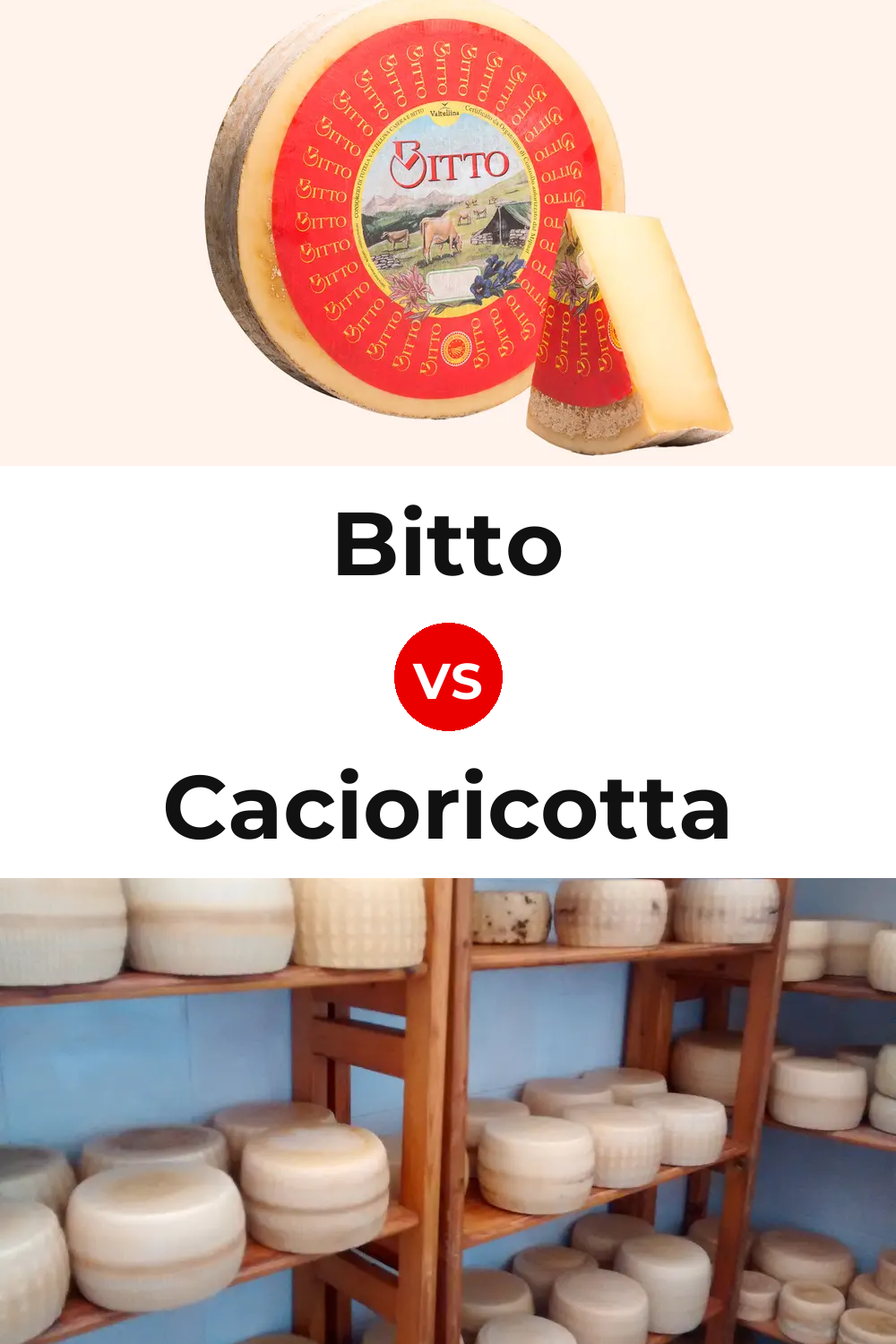 Bitto Cheese vs Cacioricotta Cheese Pinterest comparison