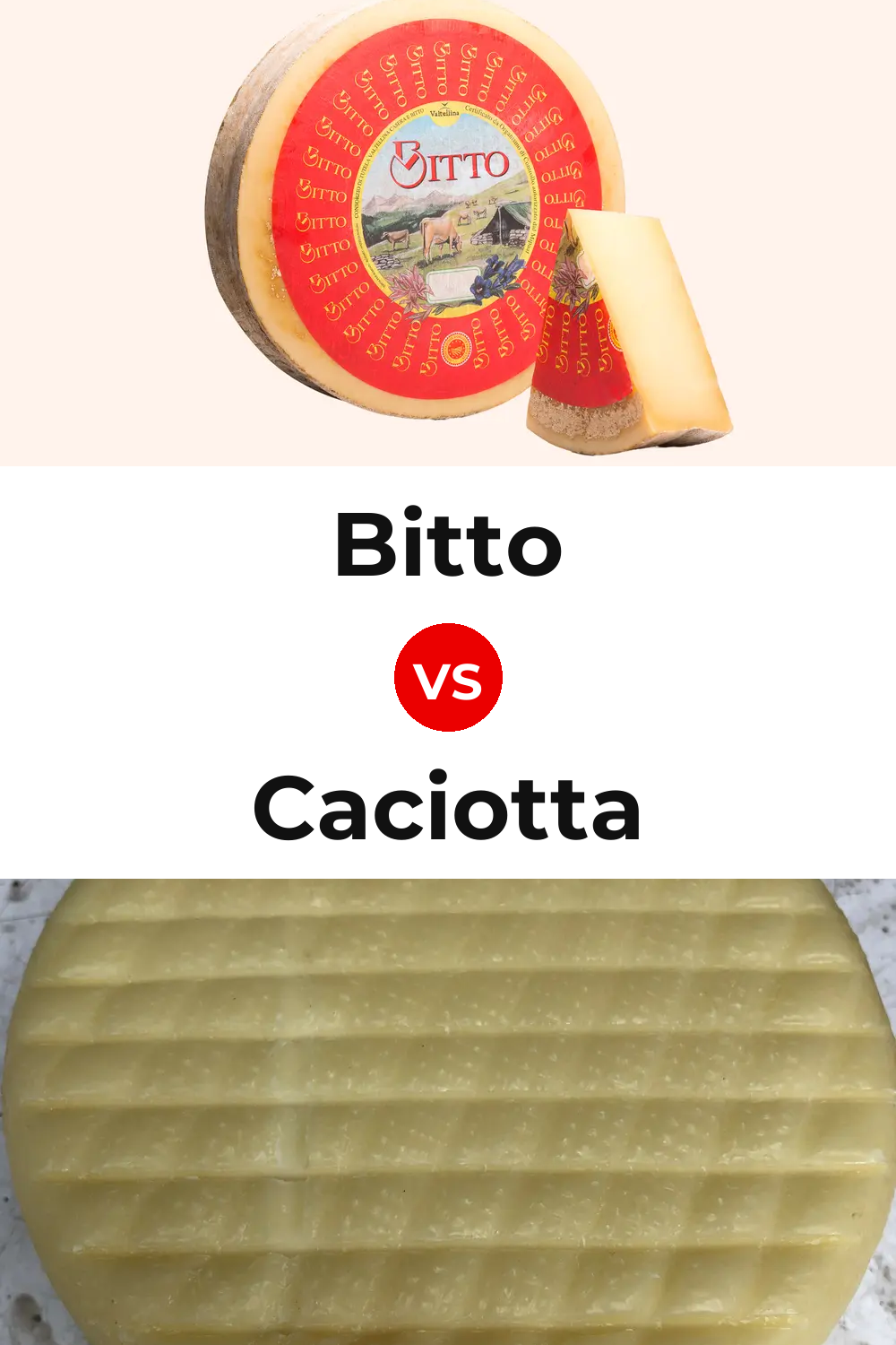 Bitto Cheese vs Caciotta Cheese Pinterest comparison