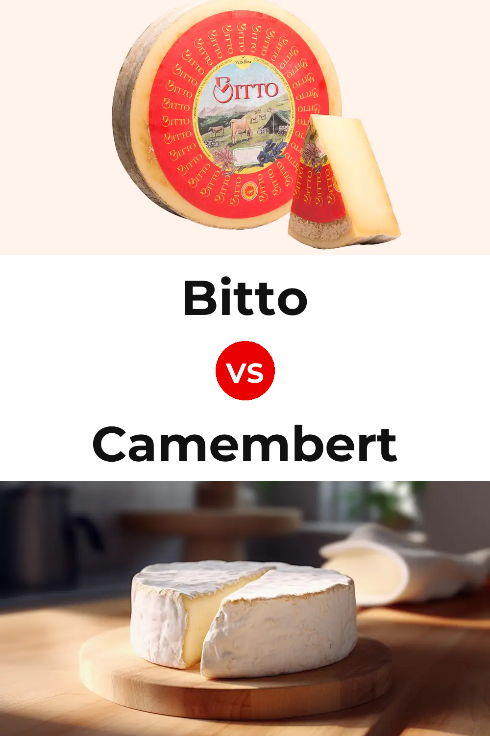 Bitto Cheese vs Camembert Cheese Pinterest comparison