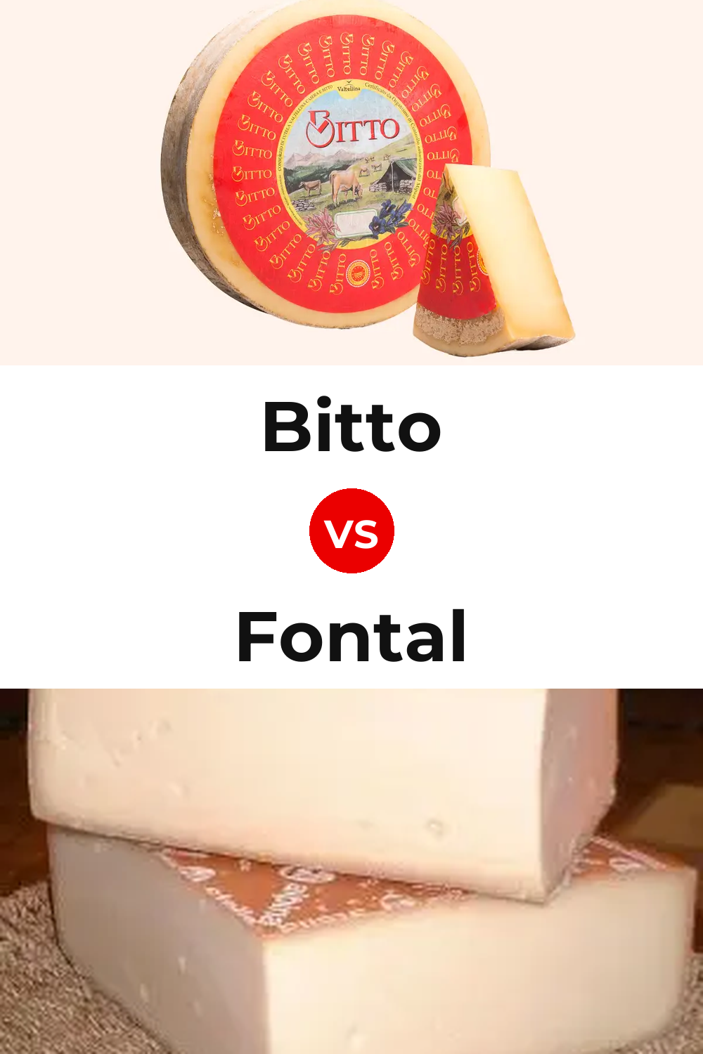 Bitto Cheese vs Fontal Cheese Pinterest comparison
