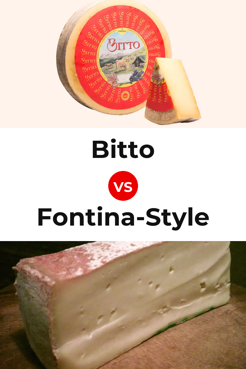 Bitto Cheese vs Fontina-Style Cheese Pinterest comparison