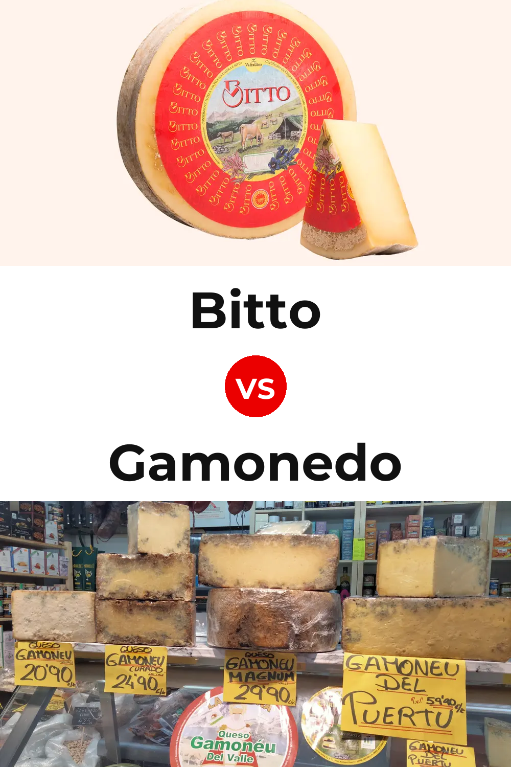 Bitto Cheese vs Gamonedo Cheese Pinterest comparison