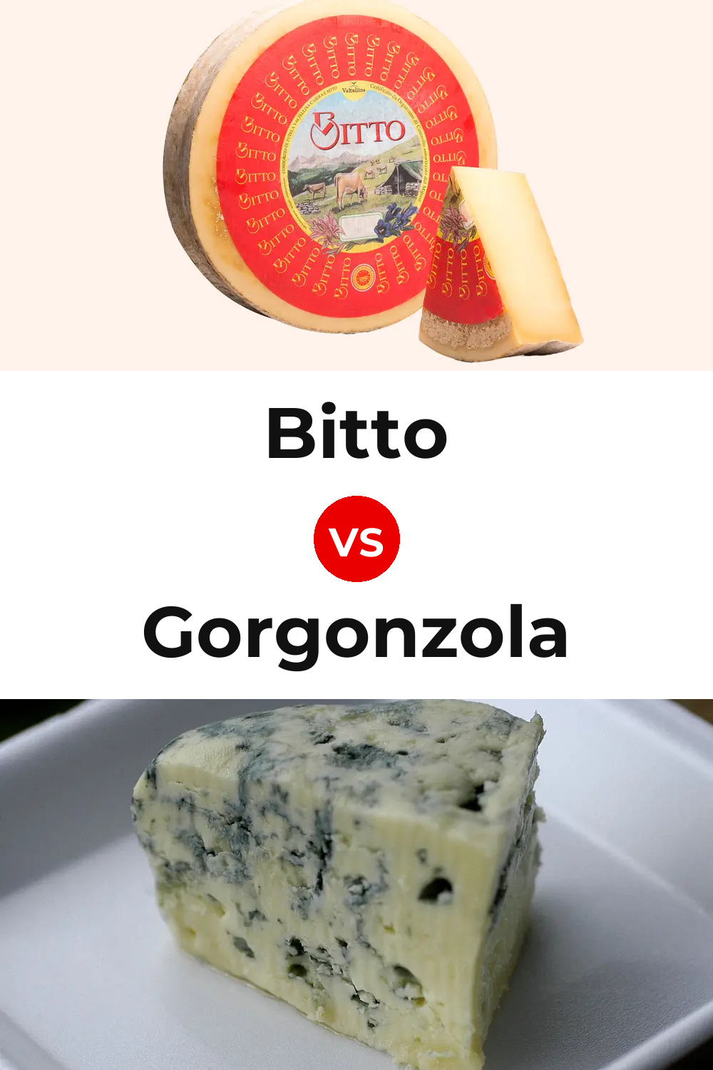 Bitto Cheese vs Gorgonzola Cheese Pinterest comparison