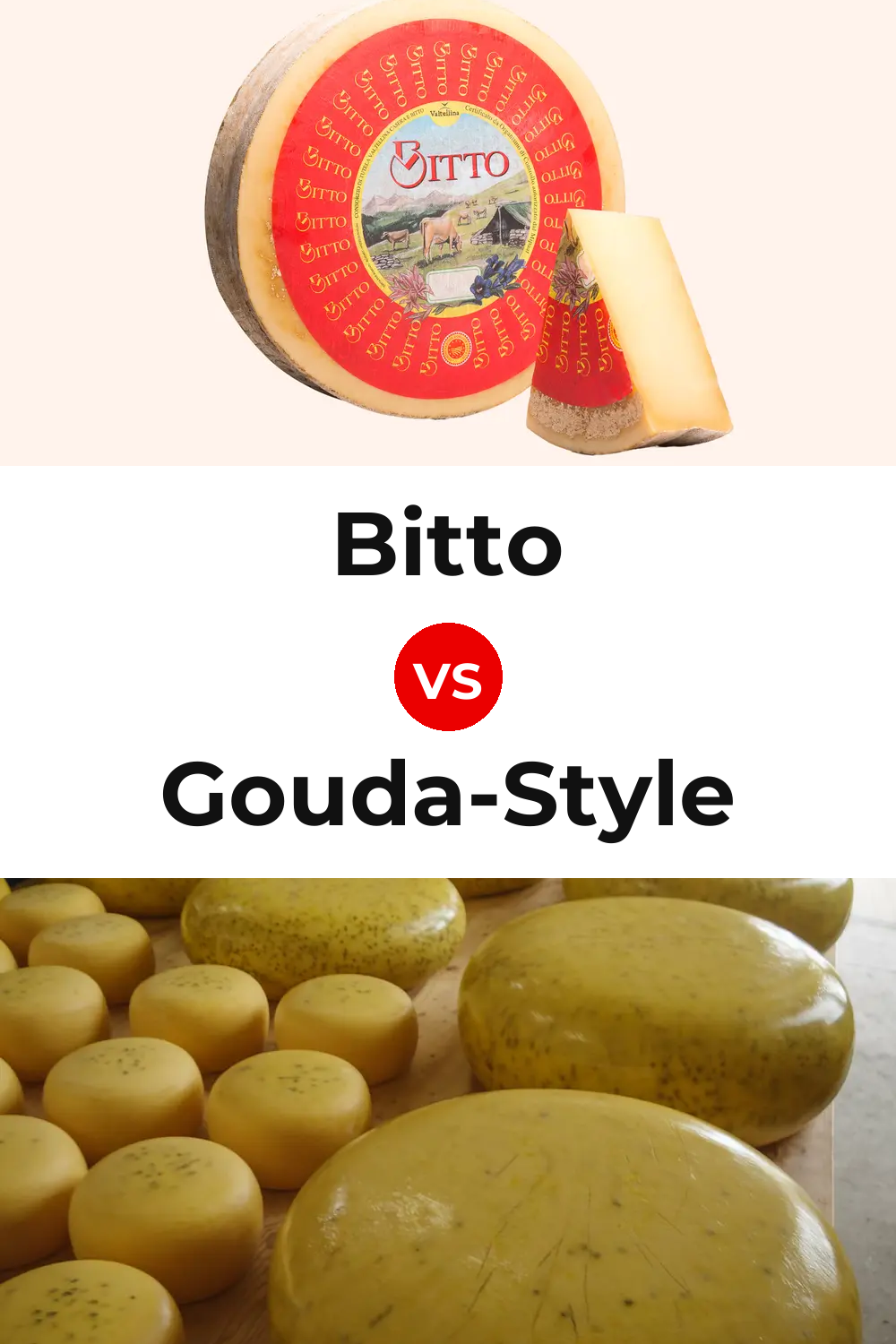 Bitto Cheese vs Gouda-Style Cheese Pinterest comparison