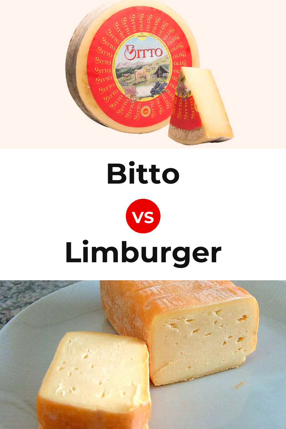 Bitto Cheese vs Limburger Cheese Pinterest comparison