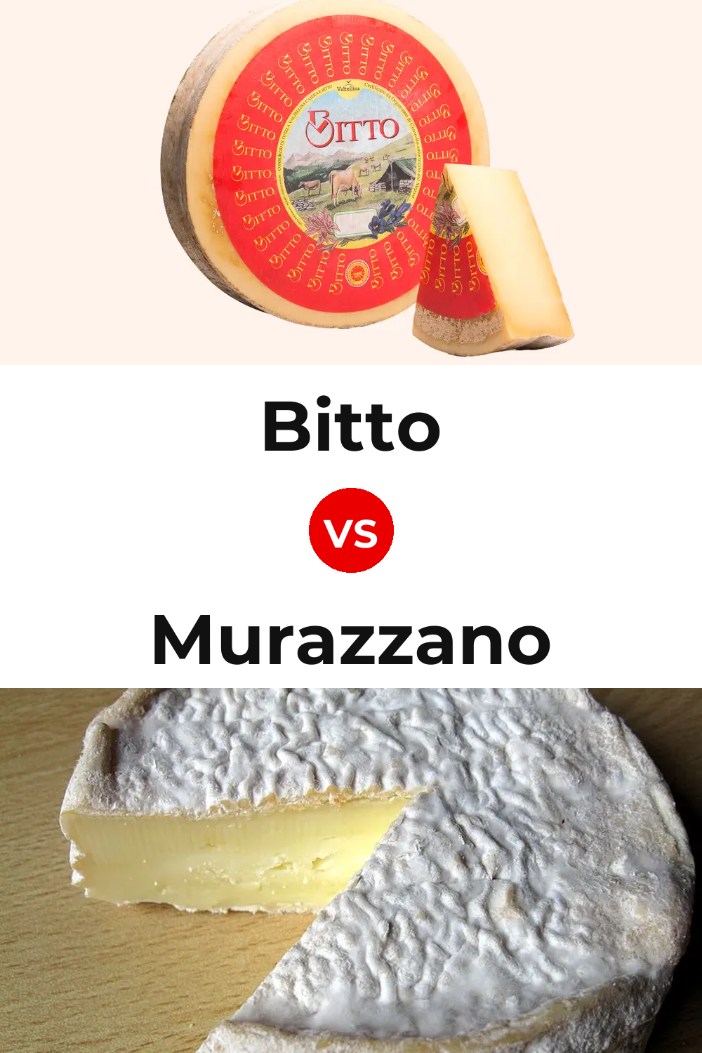 Bitto Cheese vs Murazzano Cheese Pinterest comparison