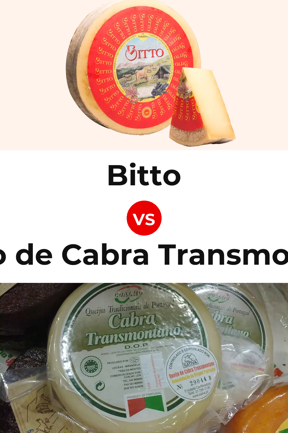 Bitto Cheese vs Queijo de Cabra Transmontano Pinterest comparison