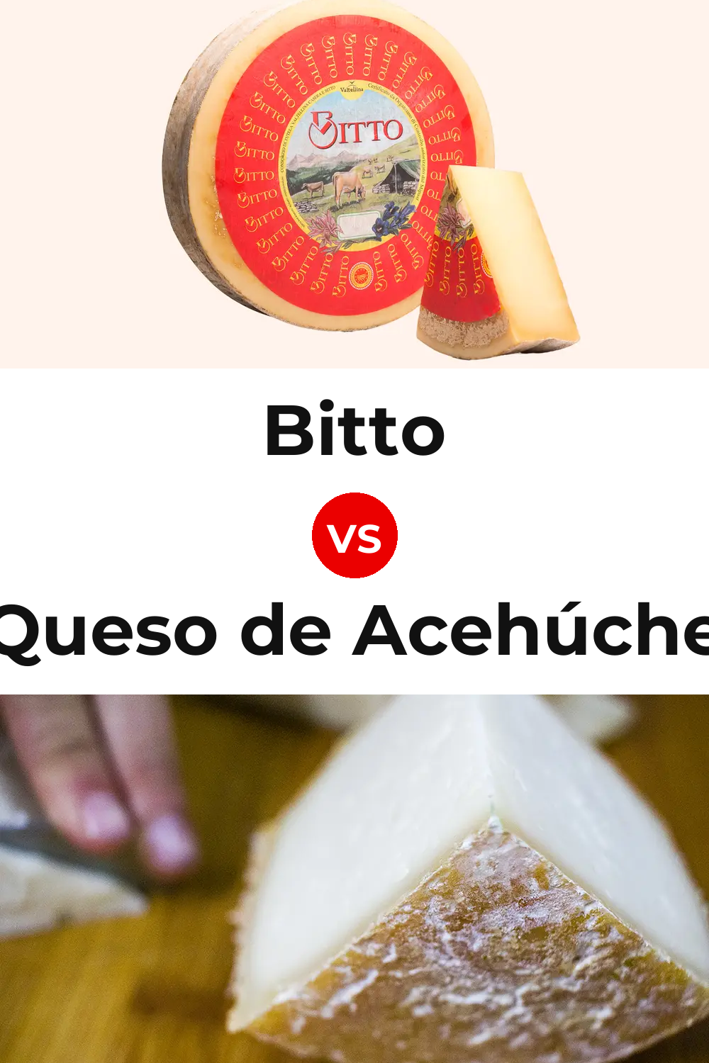 Bitto Cheese vs Queso de Acehúche Pinterest comparison