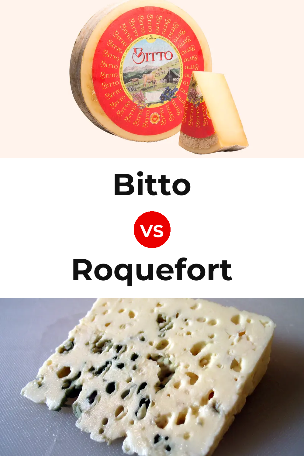 Bitto Cheese vs Roquefort Cheese Pinterest comparison