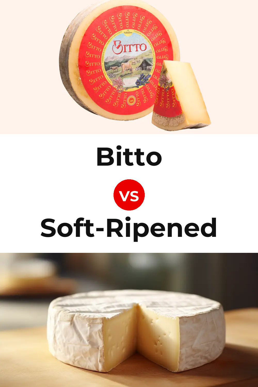 Bitto Cheese vs Soft-Ripened Cheese Pinterest comparison