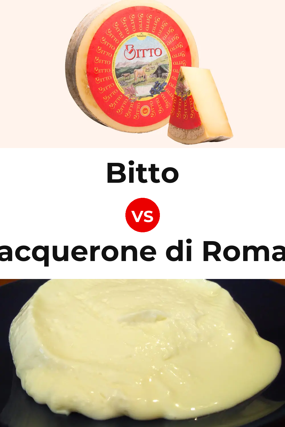 Bitto Cheese vs Squacquerone di Romagna Cheese Pinterest comparison