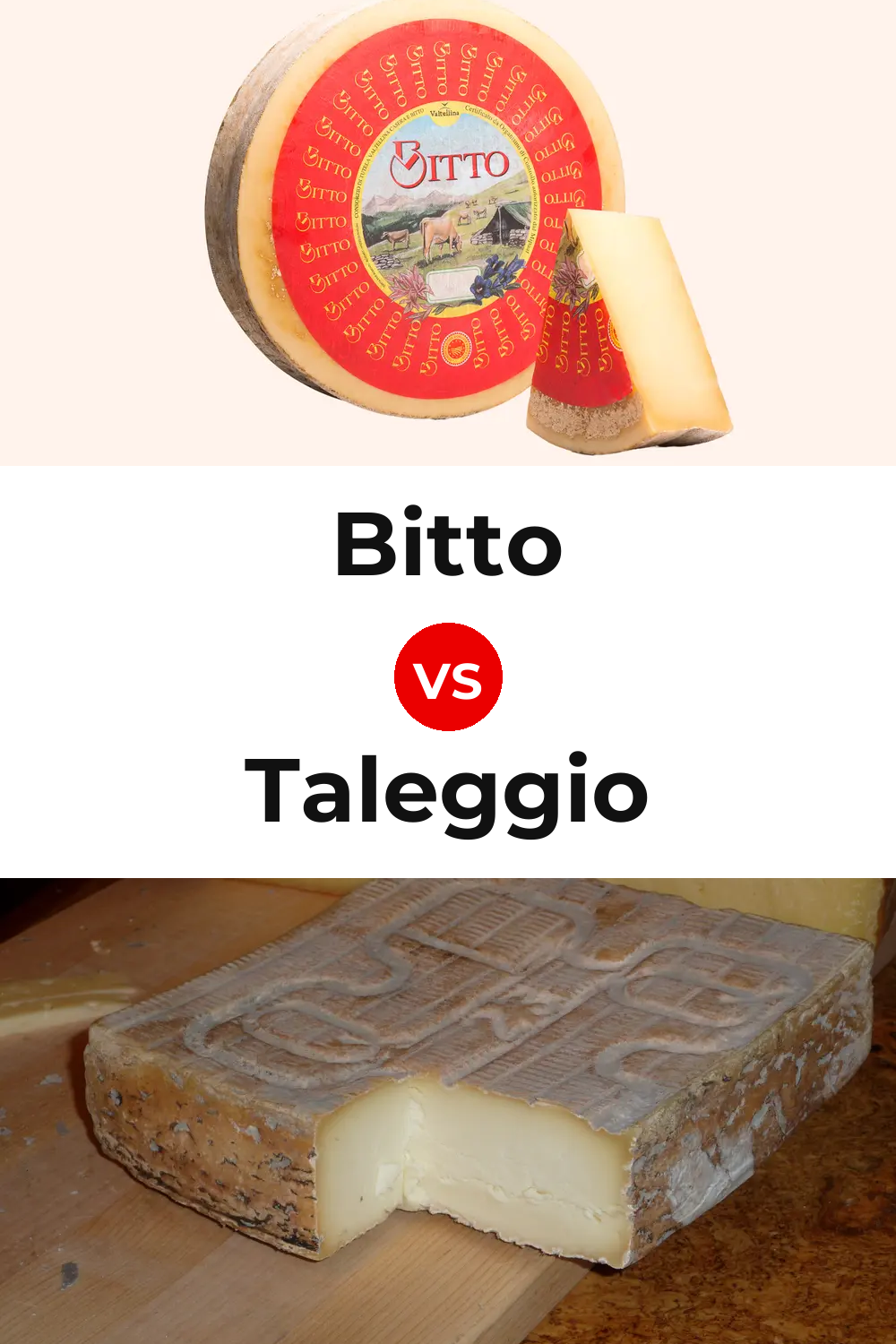 Bitto Cheese vs Taleggio Cheese Pinterest comparison