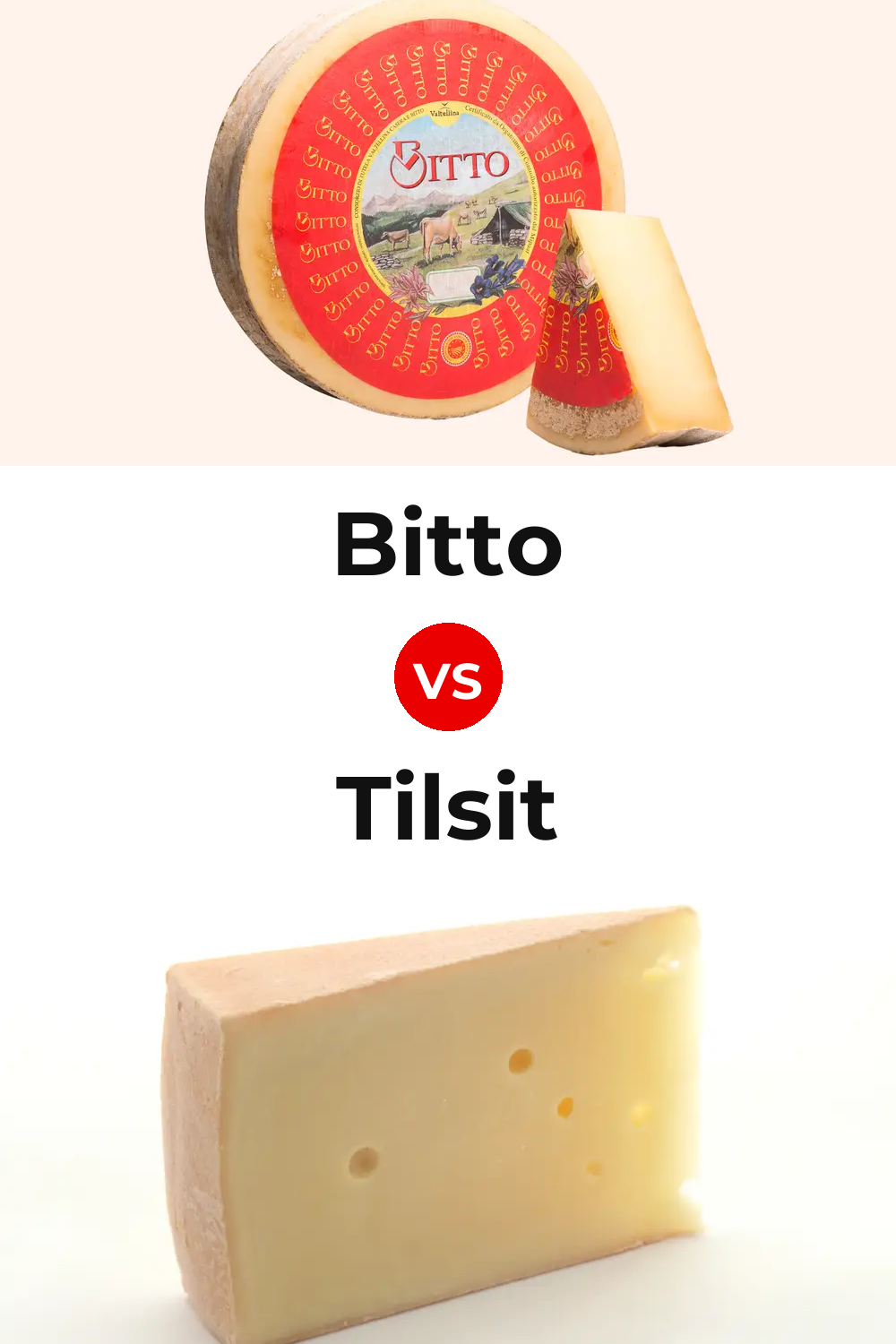 Bitto Cheese vs Tilsit Cheese Pinterest comparison