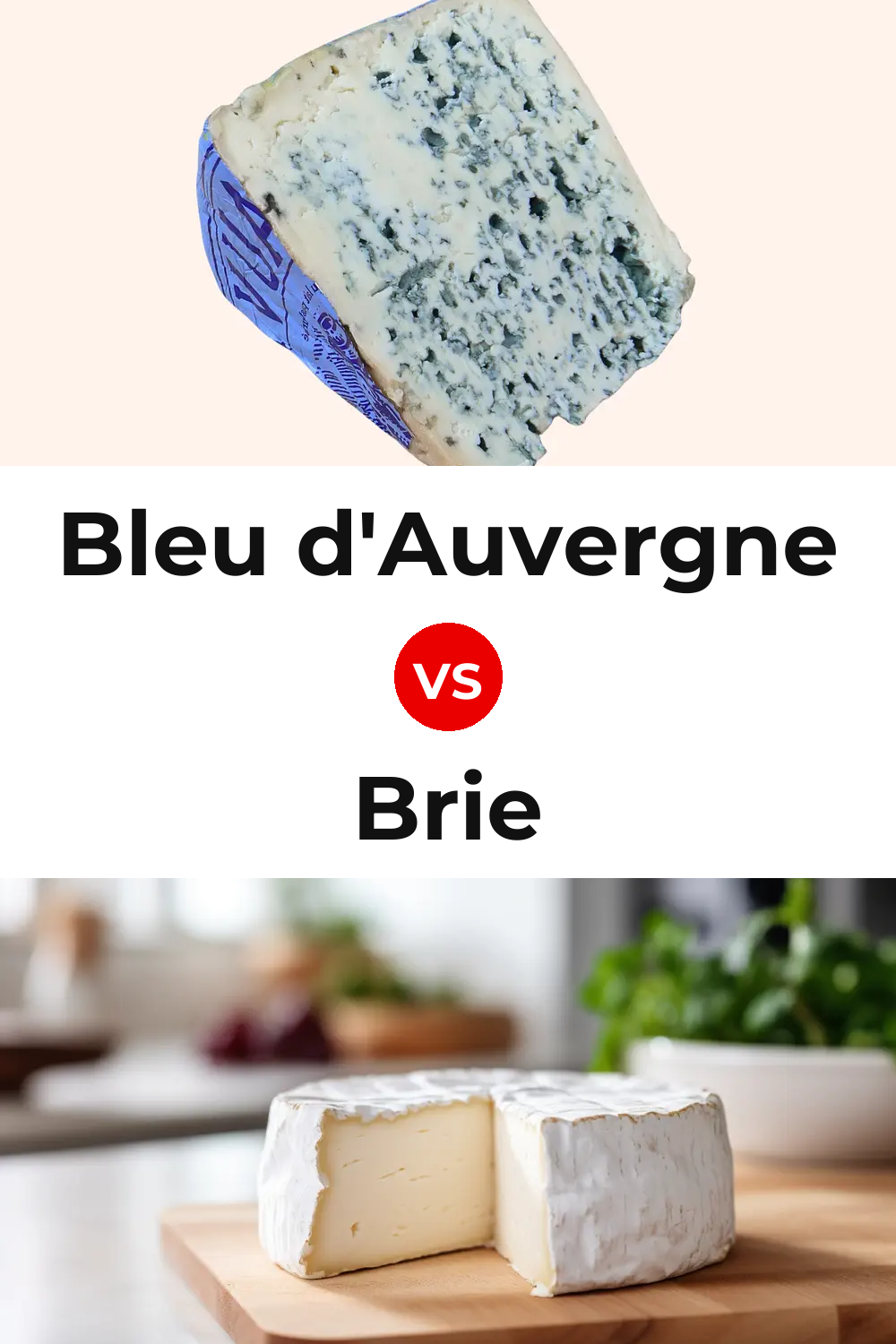 Bleu d'Auvergne Cheese vs Brie Cheese Pinterest comparison