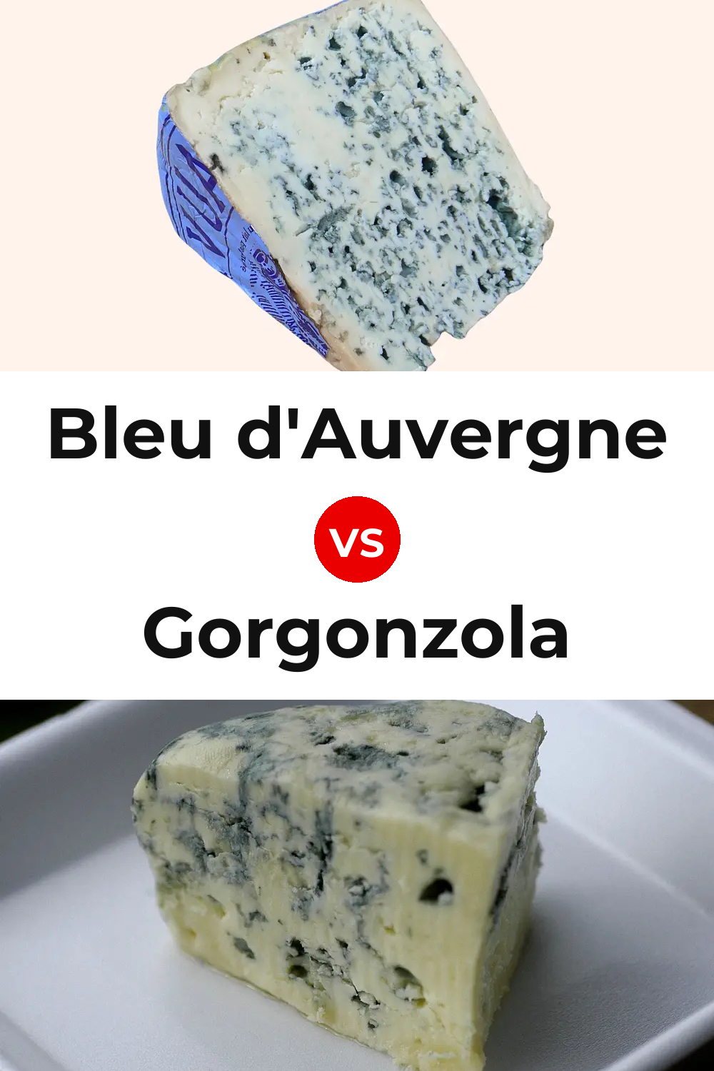 Bleu d'Auvergne Cheese vs Gorgonzola Cheese Pinterest comparison