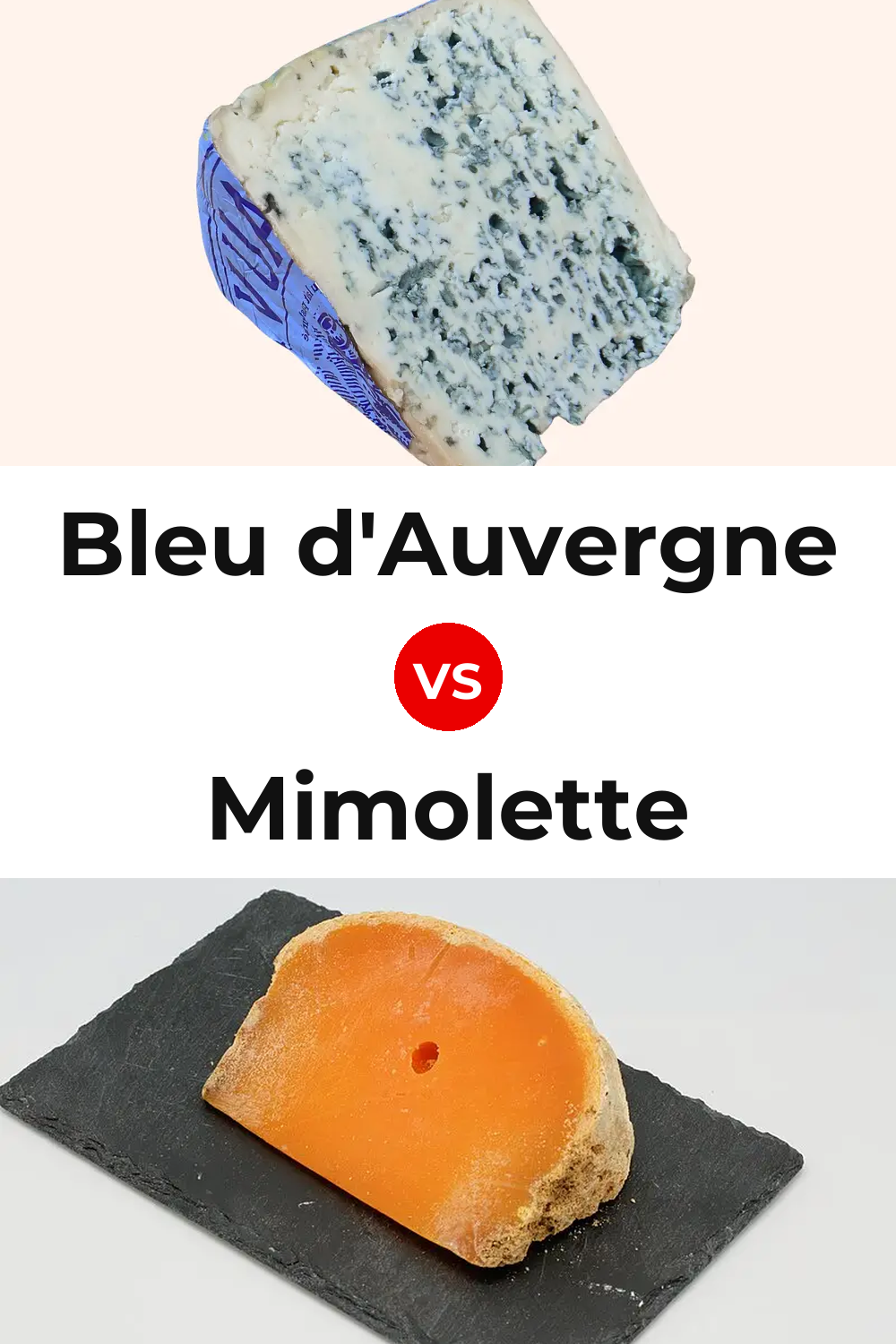 Bleu d'Auvergne Cheese vs Mimolette Cheese Pinterest comparison