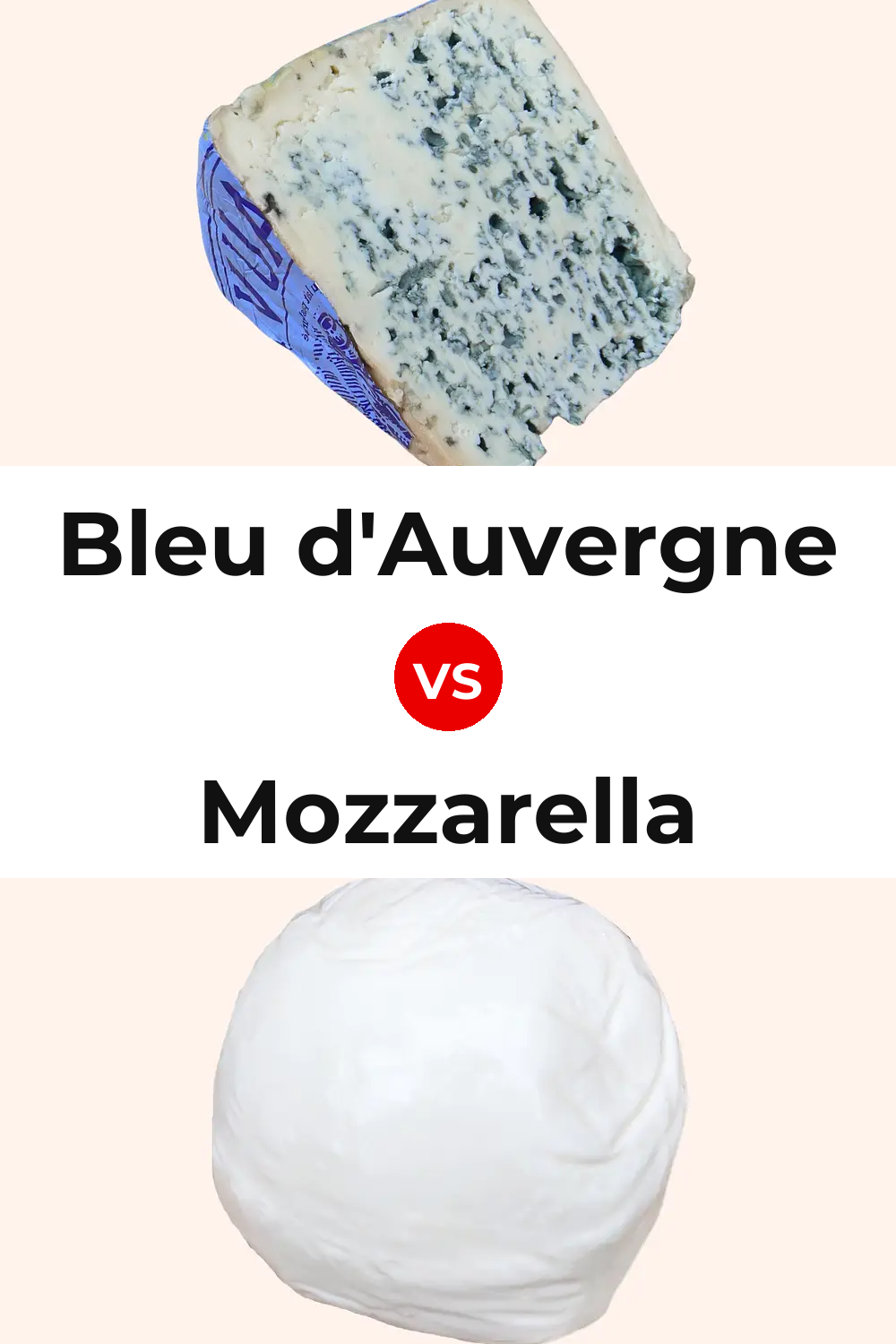 Bleu d'Auvergne Cheese vs Mozzarella Cheese Pinterest comparison