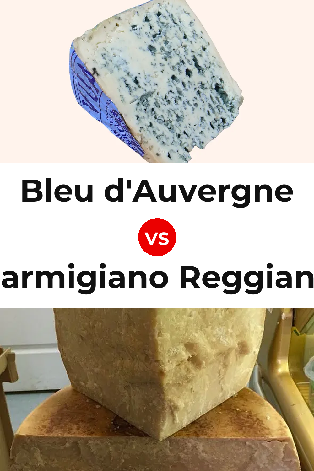 Bleu d'Auvergne Cheese vs Parmigiano Reggiano Cheese Pinterest comparison