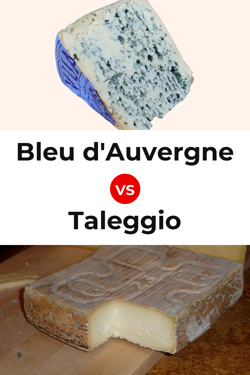 Bleu d'Auvergne Cheese vs Taleggio Cheese Pinterest comparison