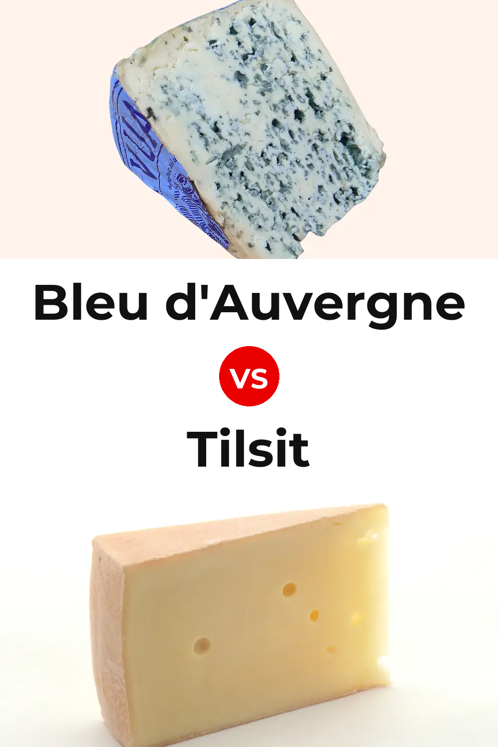 Bleu d'Auvergne Cheese vs Tilsit Cheese Pinterest comparison
