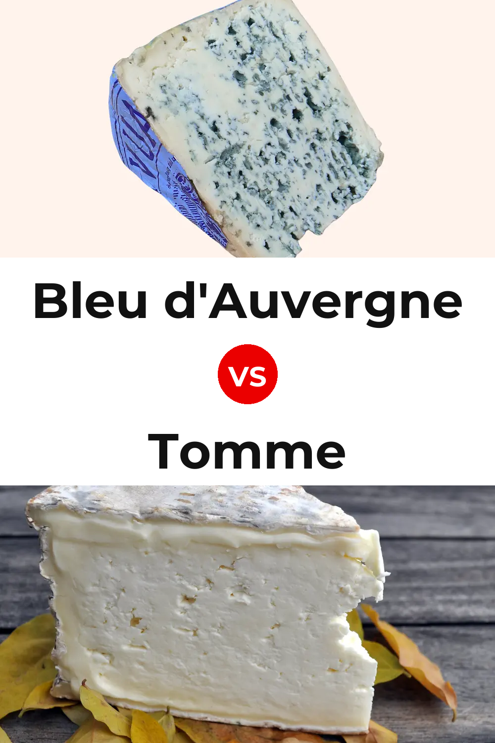 Bleu d'Auvergne Cheese vs Tomme Cheese Pinterest comparison