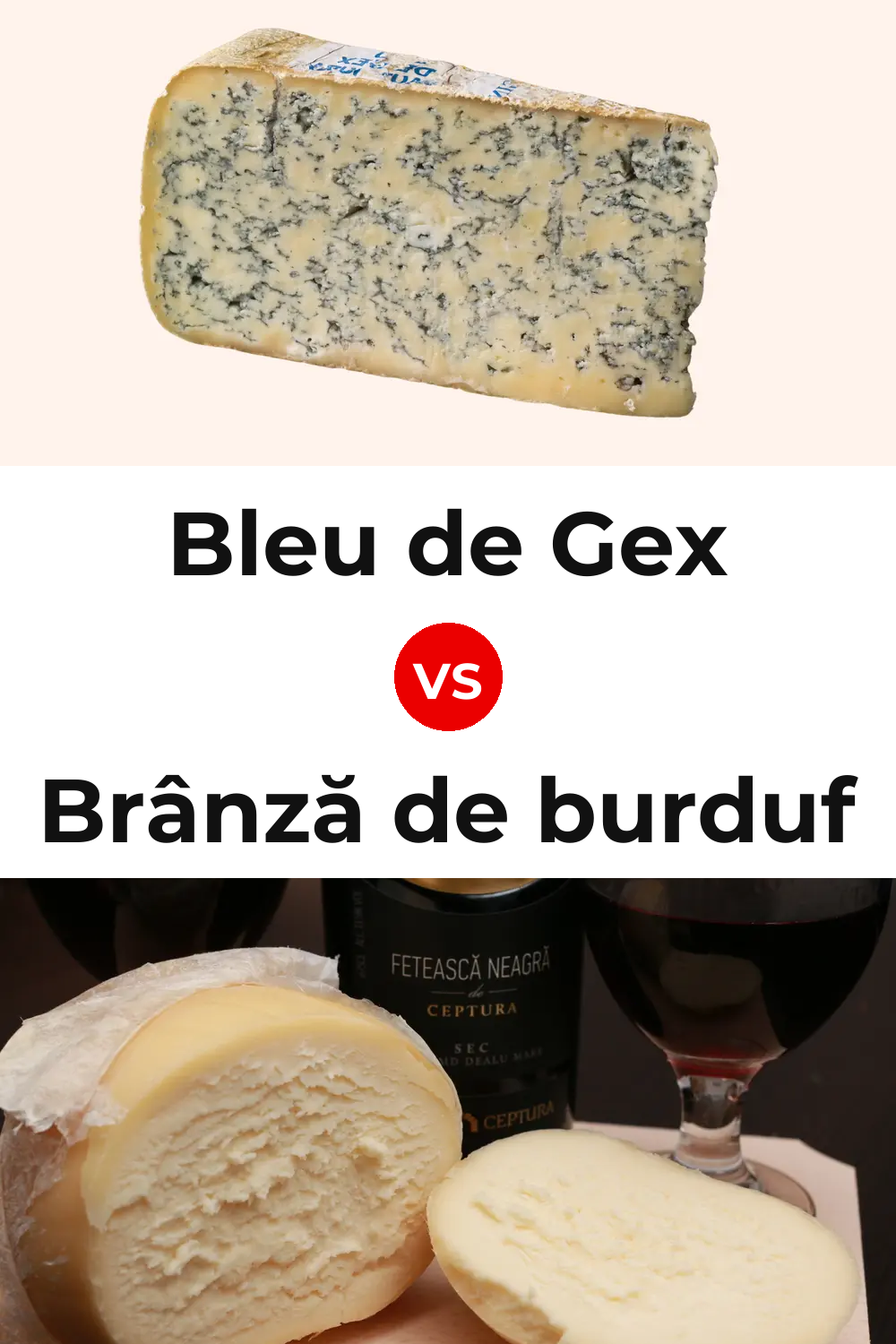 Bleu de Gex Cheese vs Brânză de burduf Cheese Pinterest comparison