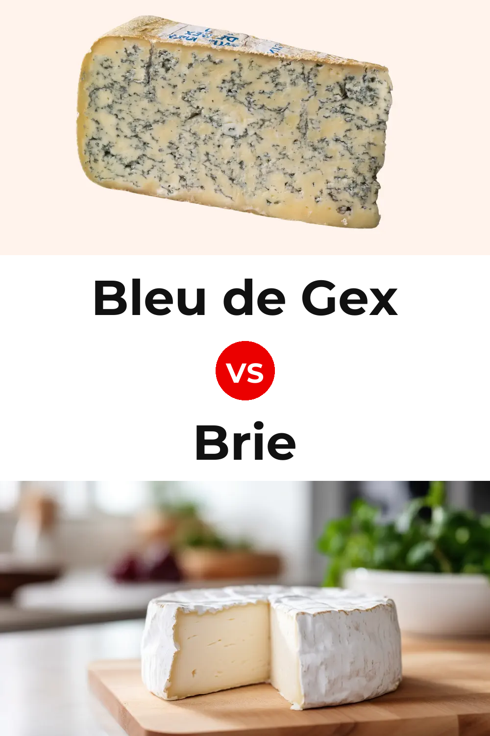 Bleu de Gex Cheese vs Brie Cheese Pinterest comparison