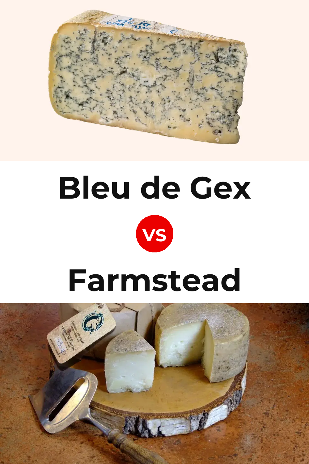 Bleu de Gex Cheese vs Farmstead Cheese Pinterest comparison