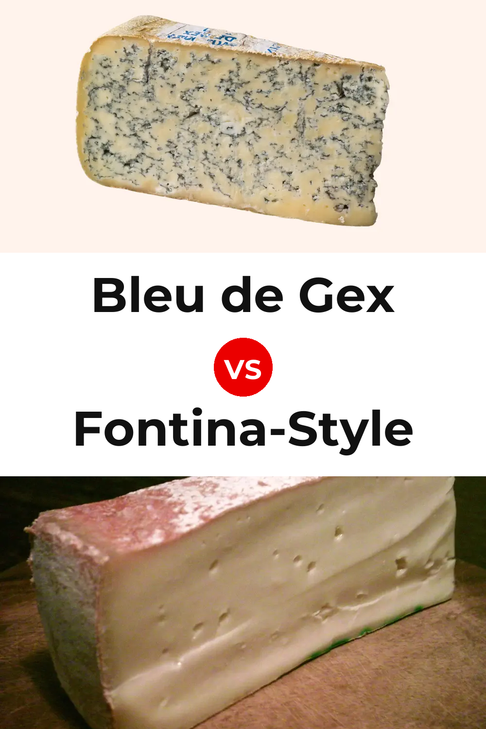 Bleu de Gex Cheese vs Fontina-Style Cheese Pinterest comparison