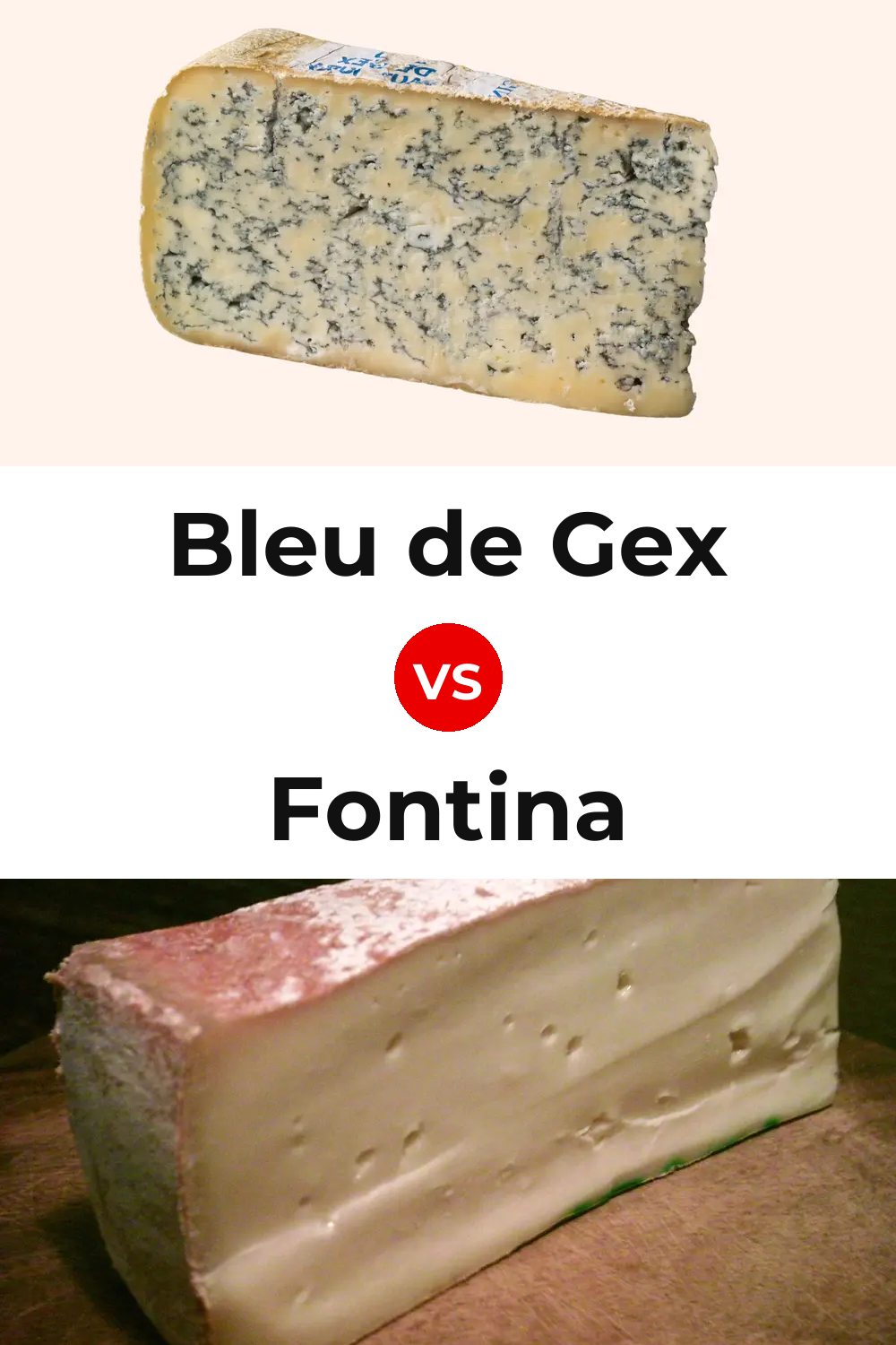 Bleu De Gex Vs Fontina Whats The Difference Anycheese 