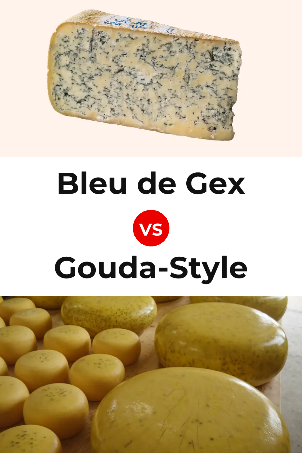 Bleu de Gex Cheese vs Gouda-Style Cheese Pinterest comparison