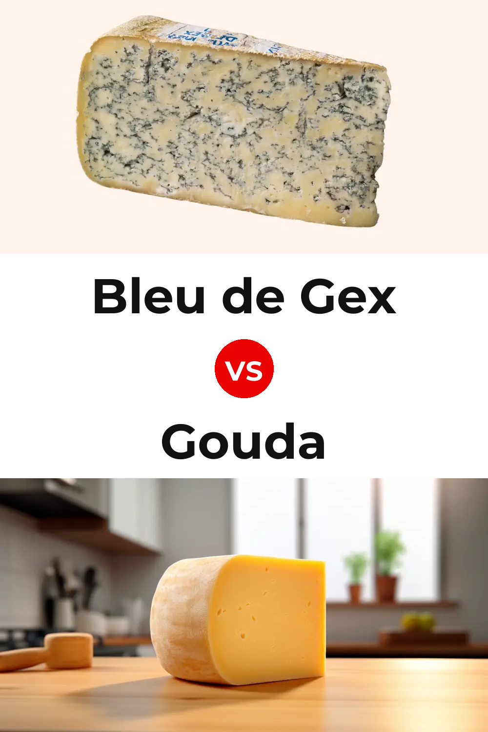 Bleu de Gex Cheese vs Gouda Cheese Pinterest comparison