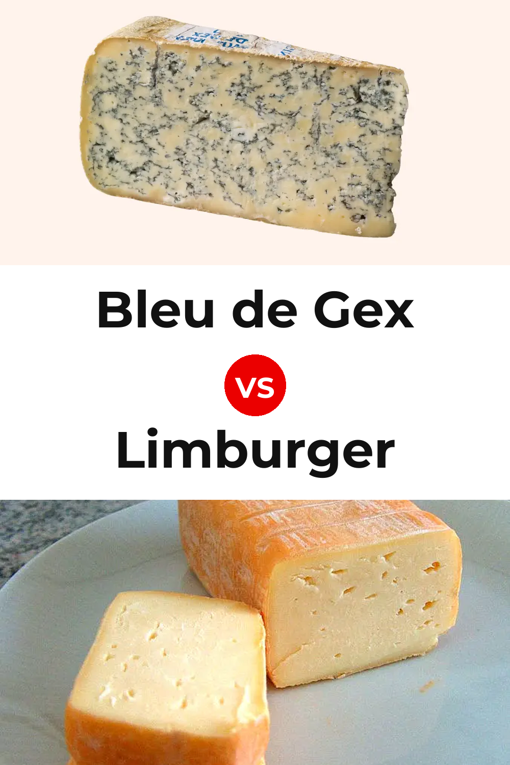 Bleu de Gex Cheese vs Limburger Cheese Pinterest comparison