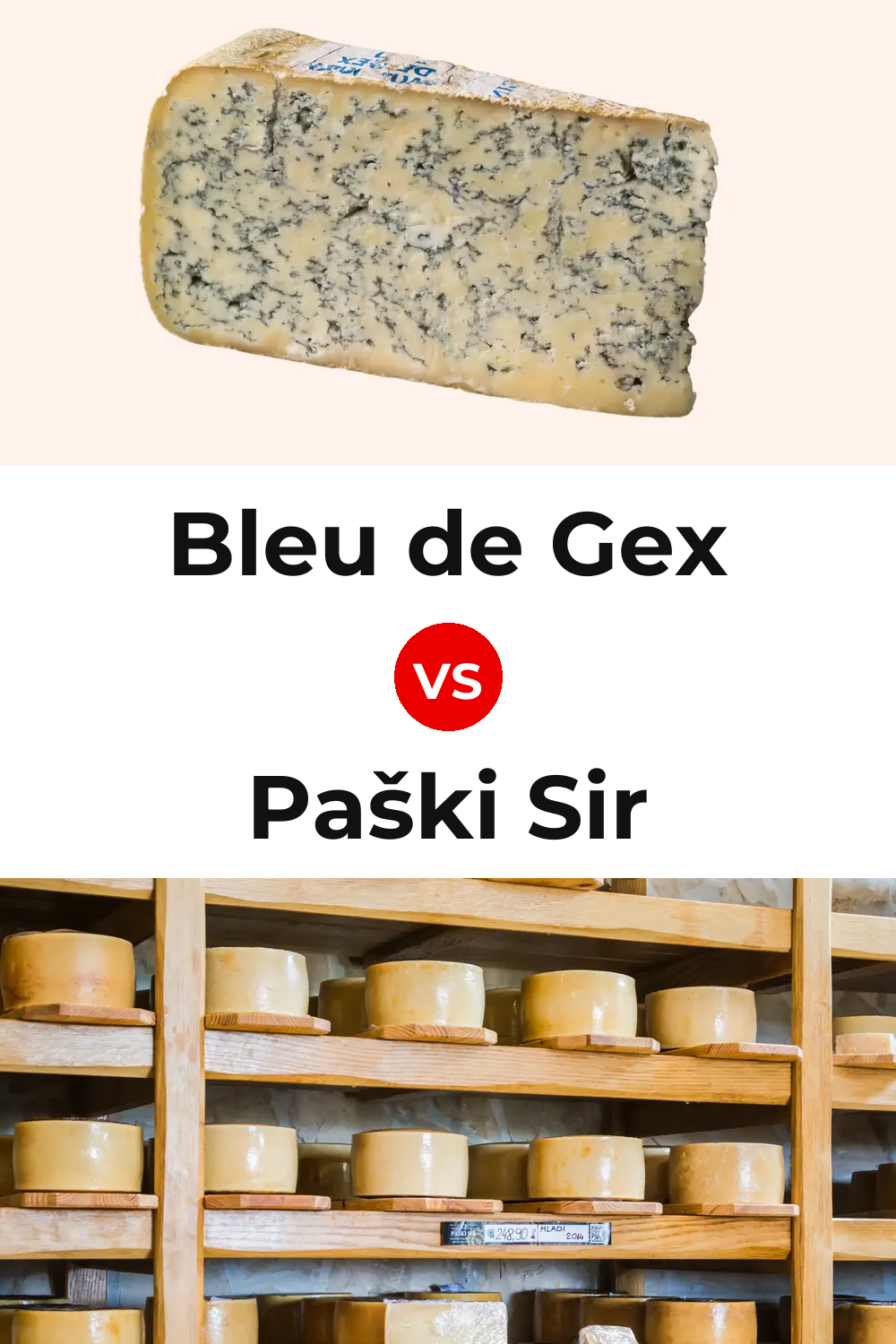 Bleu de Gex Cheese vs Paški Sir Cheese Pinterest comparison