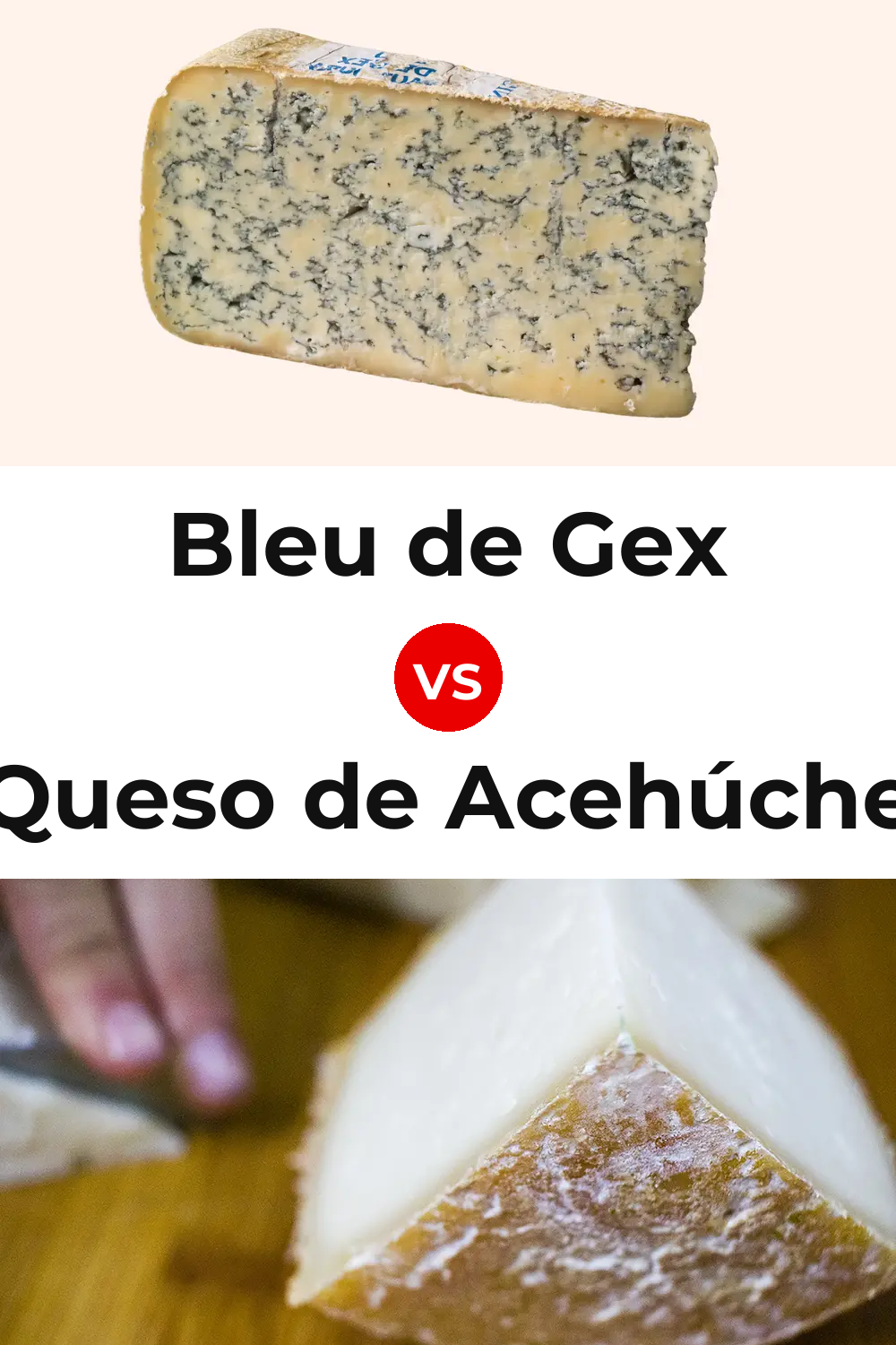 Bleu de Gex Cheese vs Queso de Acehúche Pinterest comparison
