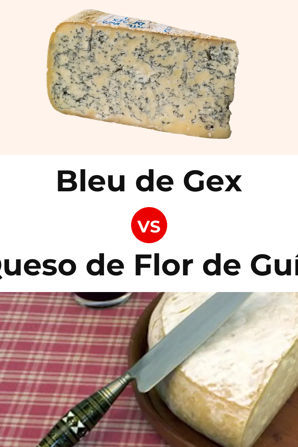 Bleu de Gex Cheese vs Queso de Flor de Guía Pinterest comparison