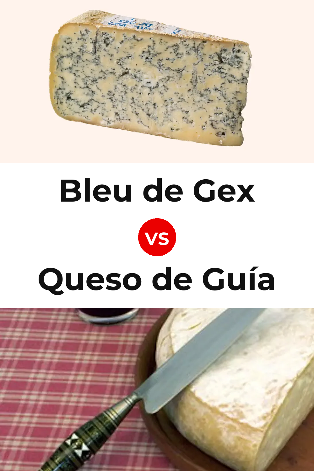 Bleu de Gex Cheese vs Queso de Guía Pinterest comparison