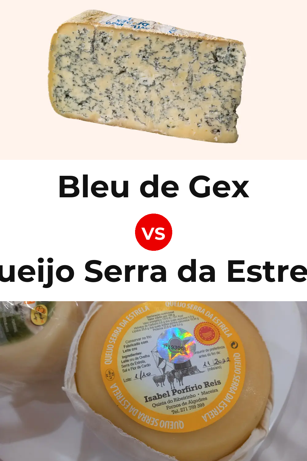Bleu de Gex Cheese vs Queijo Serra da Estrela Pinterest comparison