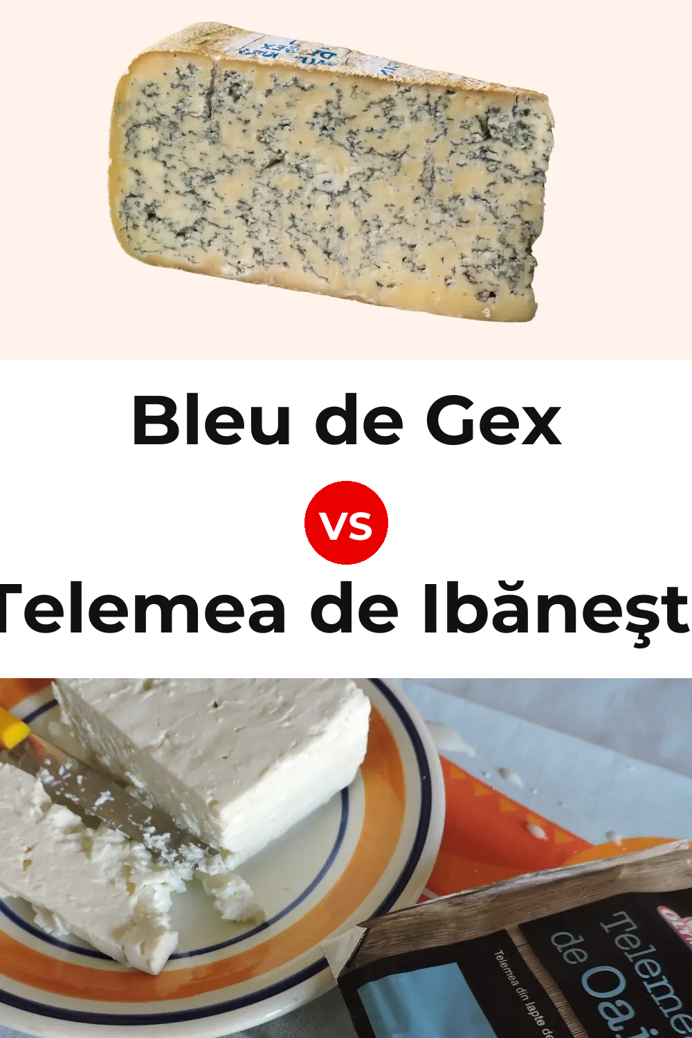 Bleu de Gex Cheese vs Telemea de Ibăneşti Cheese Pinterest comparison