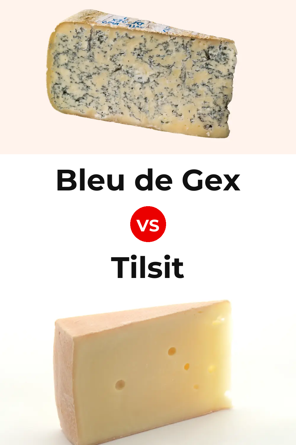 Bleu de Gex Cheese vs Tilsit Cheese Pinterest comparison