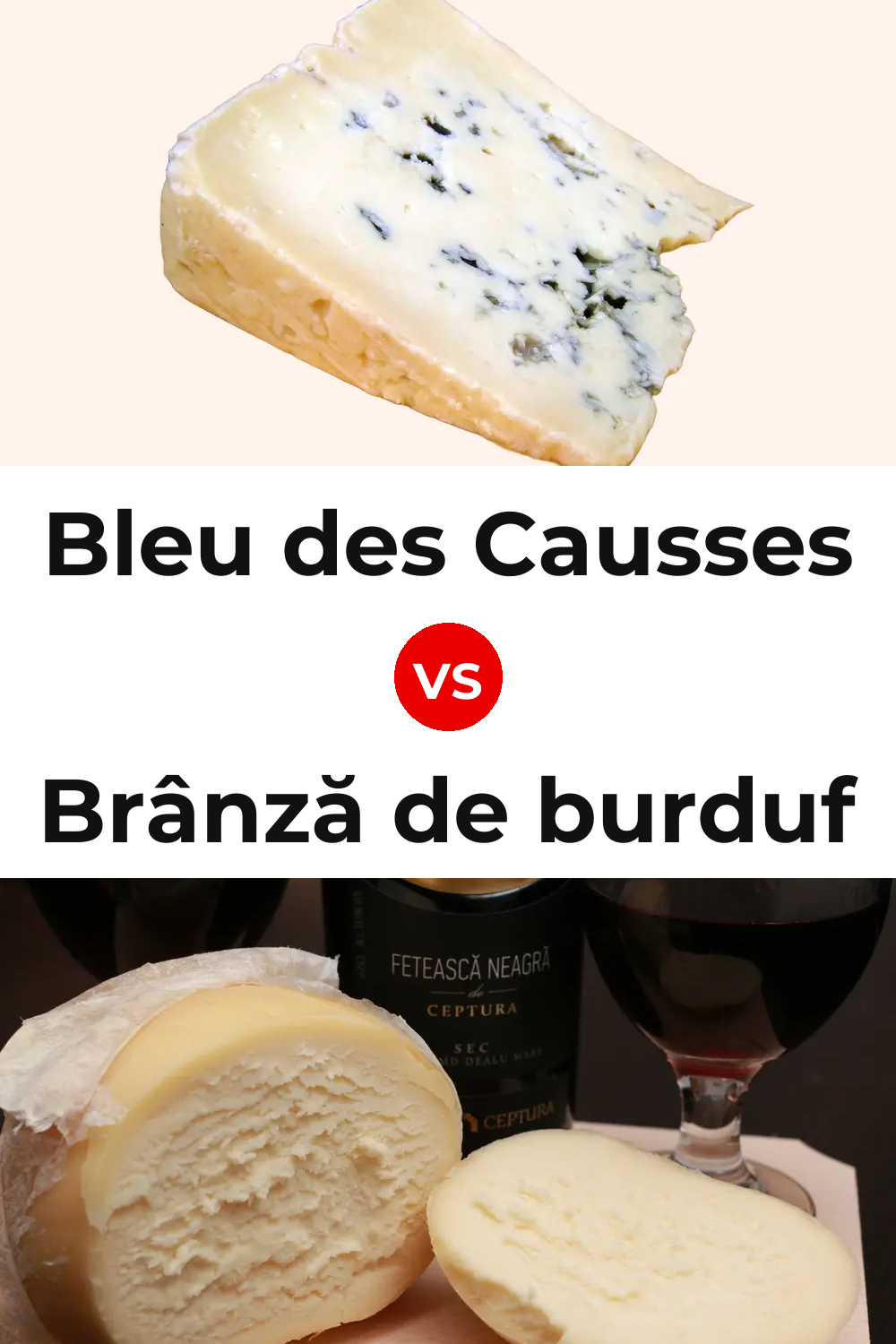 Bleu des Causses Cheese vs Brânză de burduf Cheese Pinterest comparison
