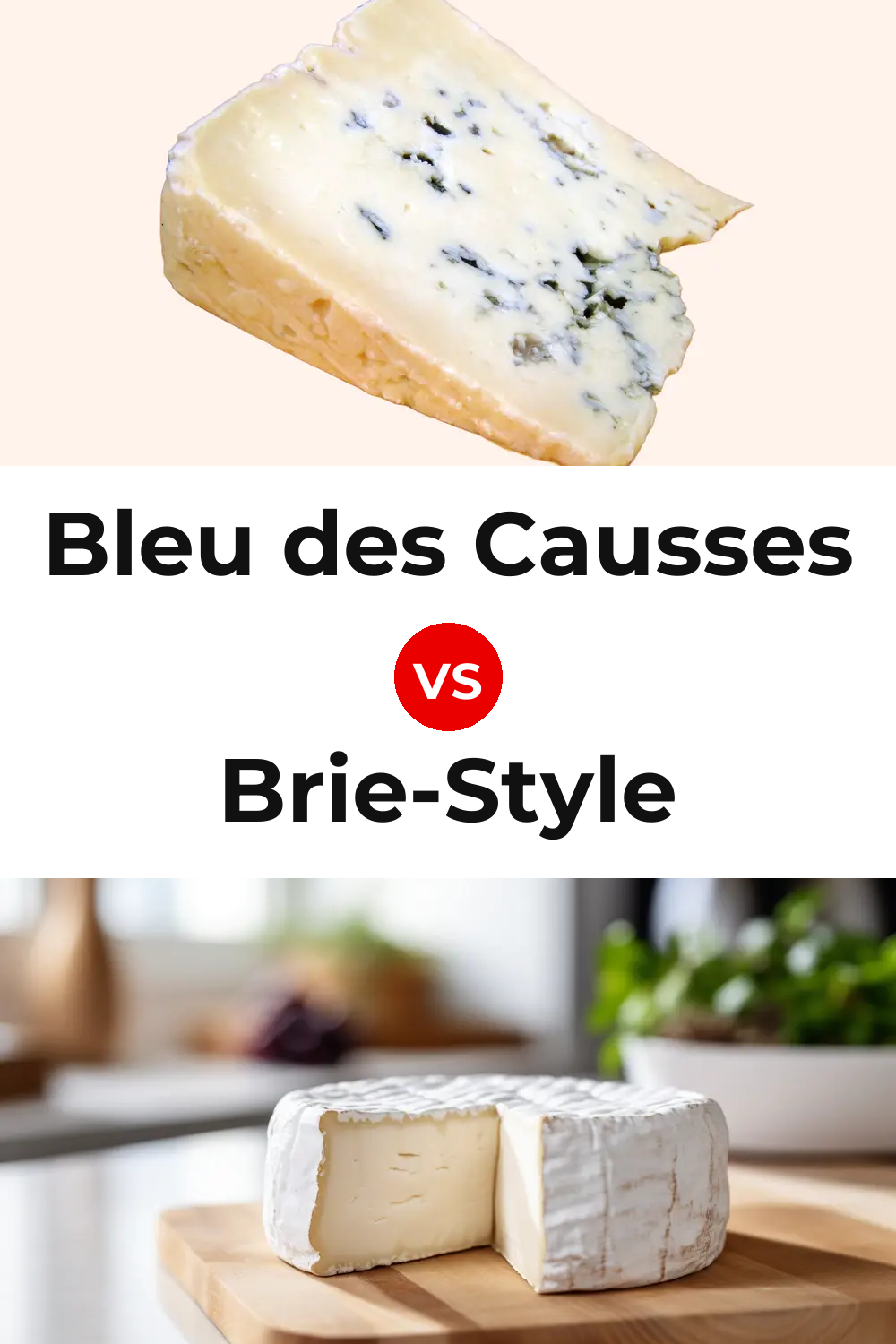 Bleu des Causses Cheese vs Brie-Style Cheese Pinterest comparison