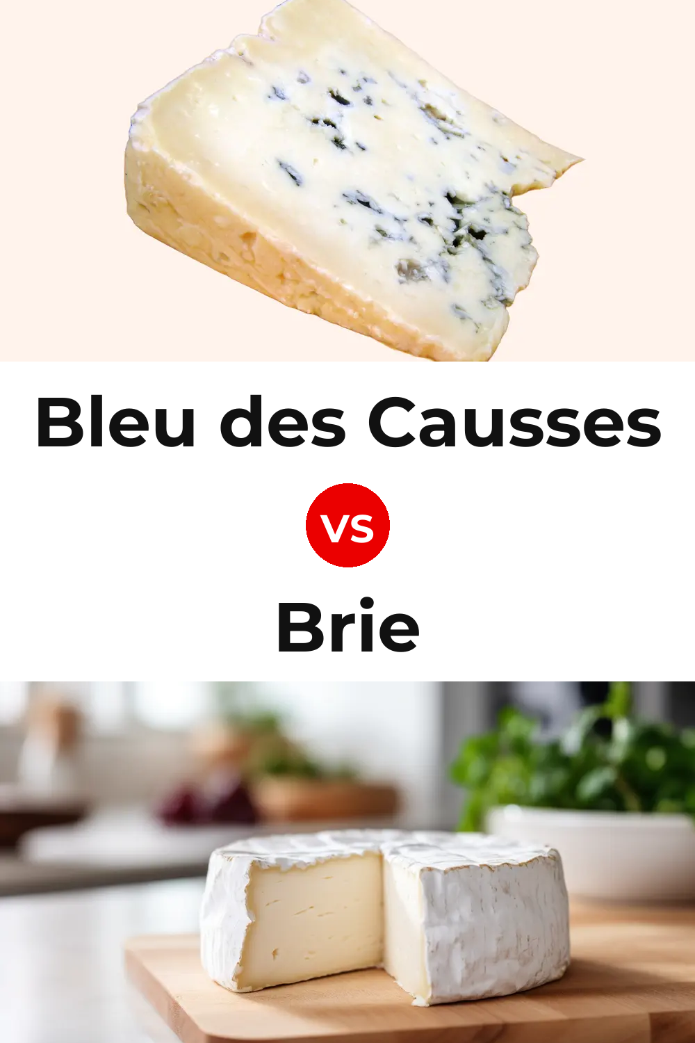 Bleu des Causses Cheese vs Brie Cheese Pinterest comparison