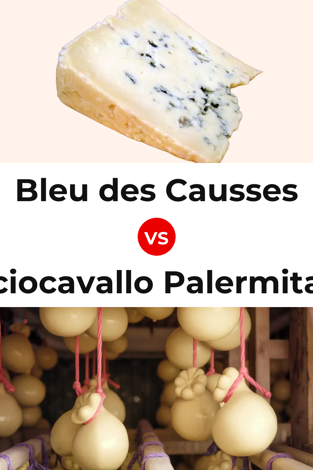 Bleu des Causses Cheese vs Caciocavallo Palermitano Cheese Pinterest comparison