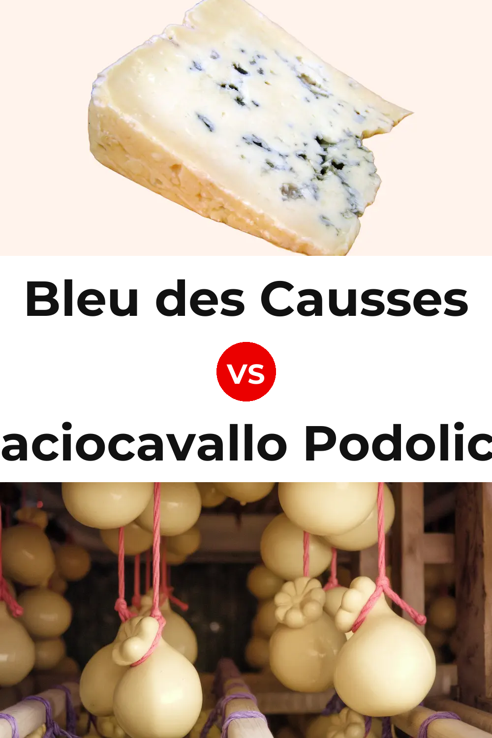 Bleu des Causses Cheese vs Caciocavallo Podolico Cheese Pinterest comparison