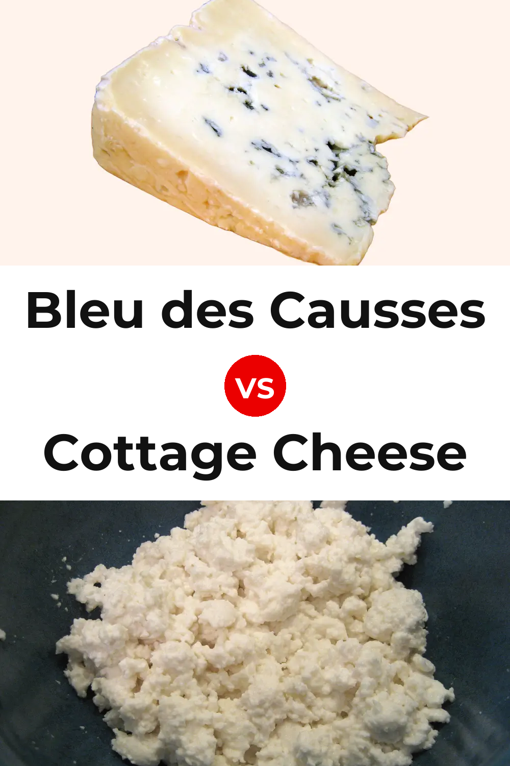 Bleu des Causses Cheese vs Cottage Cheese Pinterest comparison